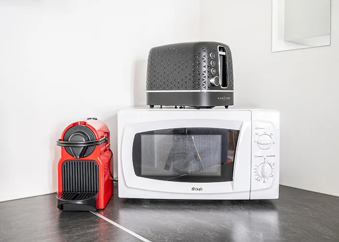 Standing & Confort - Centre - Parking Prive Pau